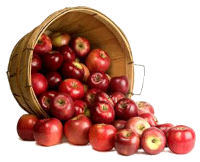 An image of an apple bushel.